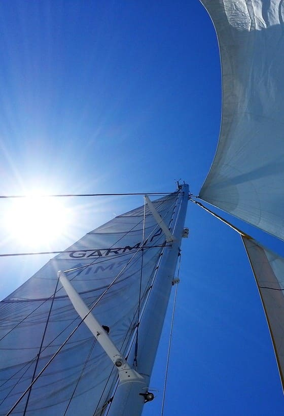 La balade en bateau parfaite pour toute la famille 