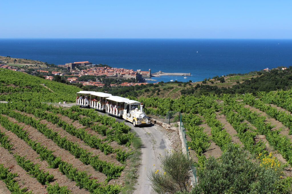 Passagers du Navivoile embarquant dans le petit train touristique à Collioure pour le trajet retour vers Port-Vendres à travers les vignobles