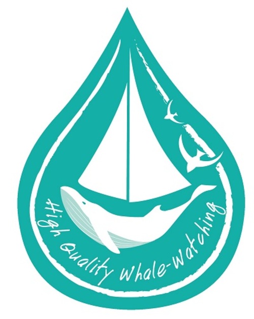 catamaran-navivoile-partenaires-labellise-high-quality-whale-watching-1