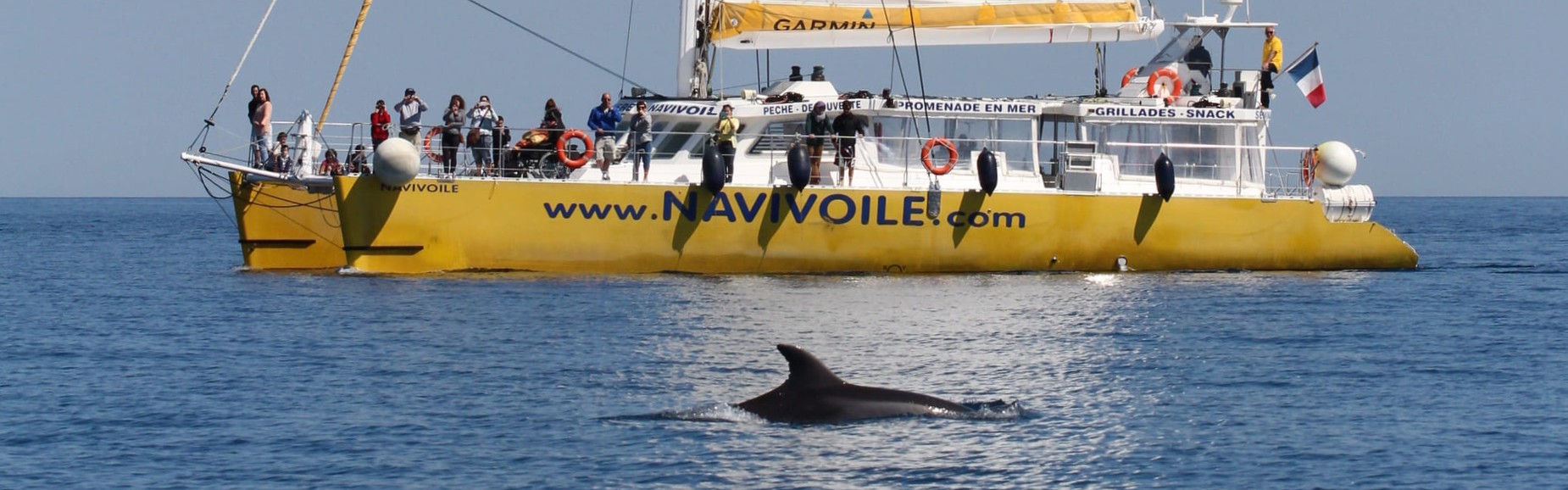 Croisières &amp; Sorties
