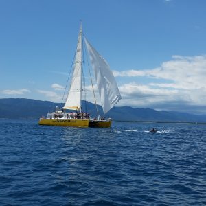 catamaran navivoile promenade en bateau dans les pyrenees orientales au depart de canet en roussillon et port vendres croisiere a la rencotre du grand dauphin au large de collioure