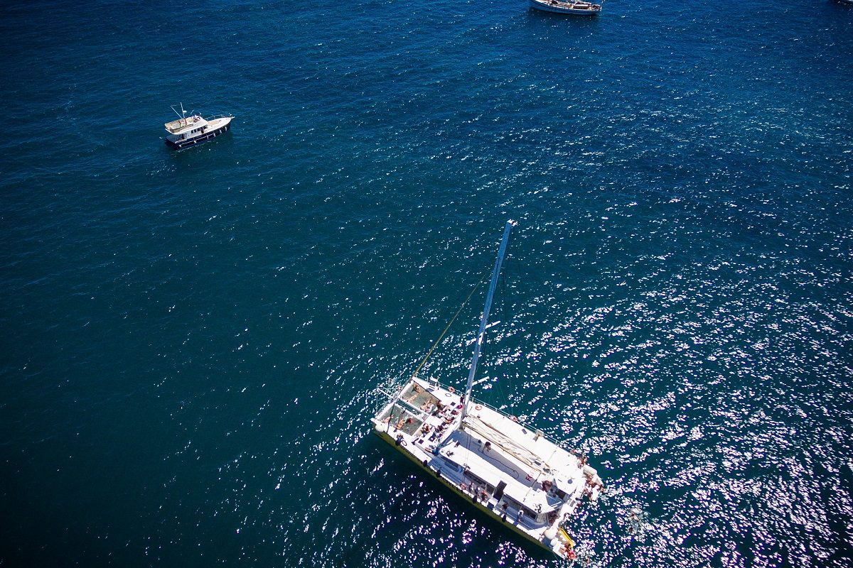 catamaran navivoile croisiere grillade et baignade en baie de paulilles au depart de canet en roussillon ou port vendres collioure