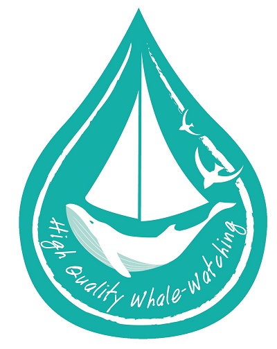 catamaran navivoile partenaires labellisé High Quality Whale Watching