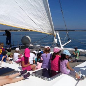 catamaran navivoile sortie scolaire école élémentaire à canet en roussillon