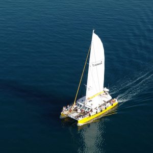 catamaran navivoile sortie scolaire école élémentaire à canet en roussillon