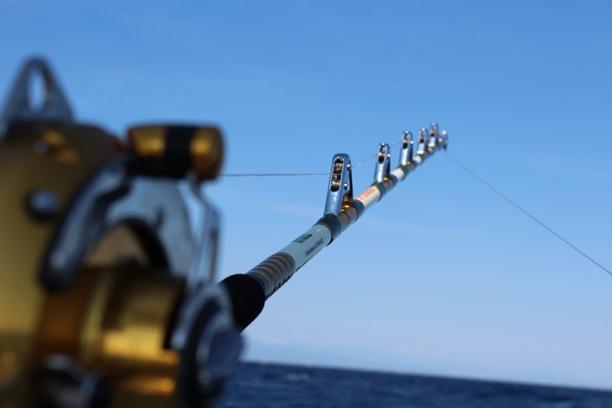 Pêche en mer - Roussillon Fishing