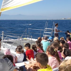 sortie scolaire navivoile canet en roussillon