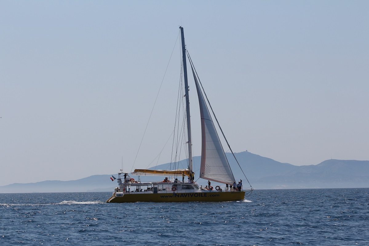 catamaran navivoile observation baleines et dauphins au depart de canet en roussillon en phase de recherche