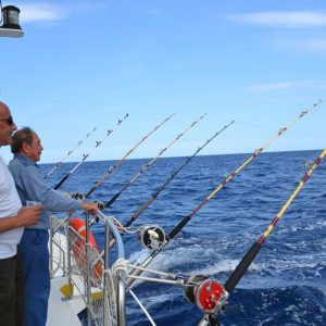 catamaran navivoile peche au gros a la traine rapide au large des pyrenees orientales et au depart du port de canet en roussillon et pecheurs en attente