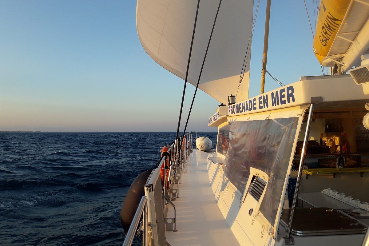 catamaran navivoile promenade en mer a la voile au depart de canet en roussillon ou port vendres en navigation sur la cote catalane