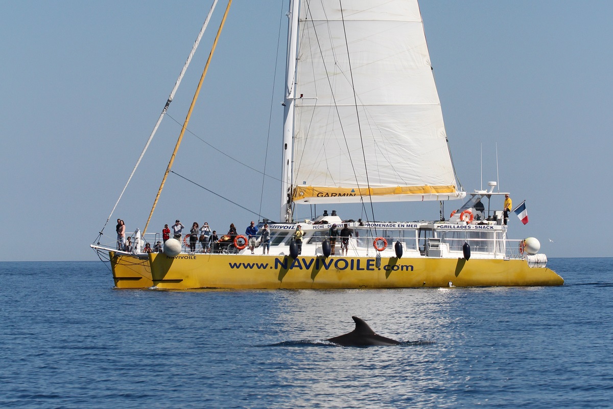 Rencontre portbail