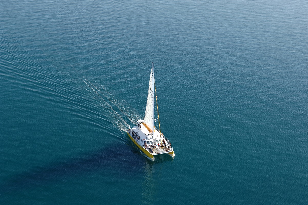 catamaran navivoile actualités du bord bateau naviguant vers canet en roussillon