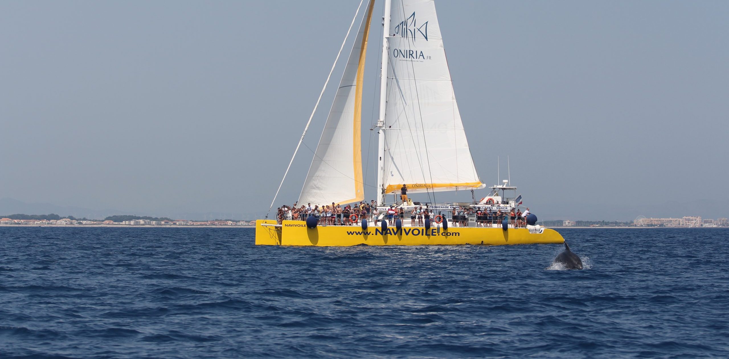 catamaran navivoile