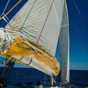 catamaran navivoile excursion en bateau à la voile au départ de canet en roussillon ou port vendres avec grand voile déployée