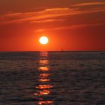 observation du grand dauphin au lever du soleil canet en roussillon catamaran navivoile