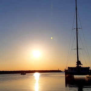 observation du grand dauphin au lever du soleil depart canet en roussillon bateau a quai
