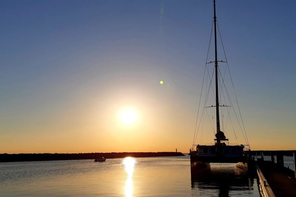 observation du grand dauphin au lever du soleil depart canet en roussillon bateau a quai